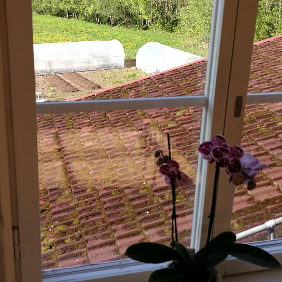 Sjugare Gard Bed & Breakfast Leksand Exterior photo